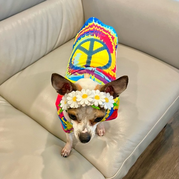 Dog Cat Halloween Costume 2 pc 70s Bootique Pet Costume Set Size XSmall - Picture 3 of 15